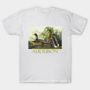 Mallard Duck by John James Audubon T-Shirt